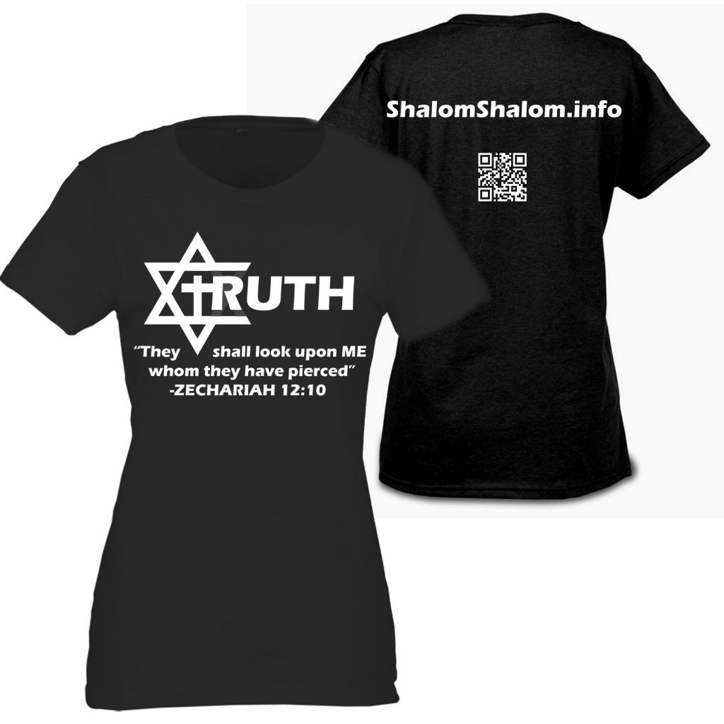 art is truth shirt